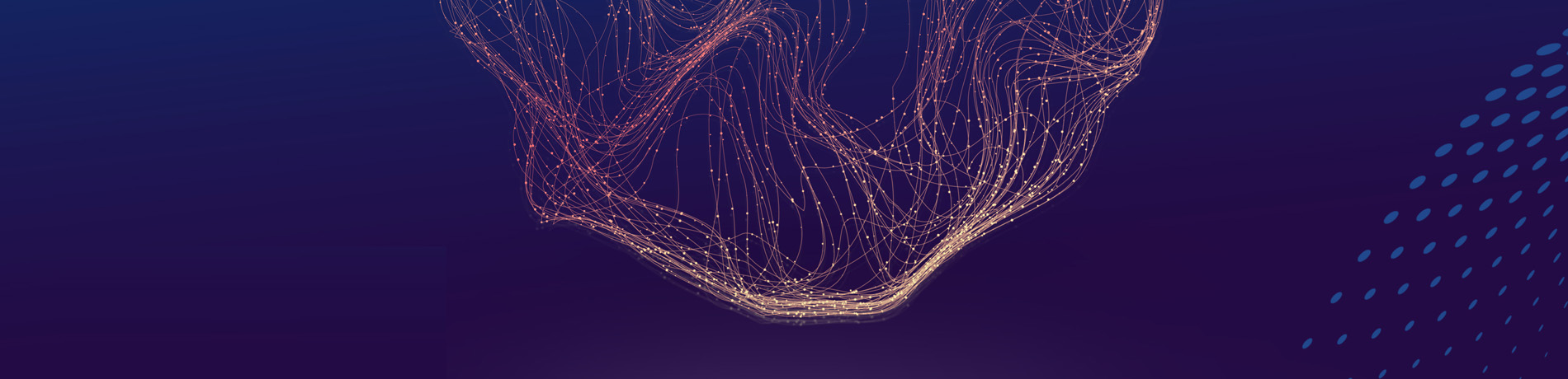 sitebanner