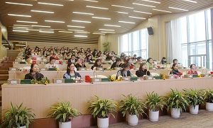 suo-16