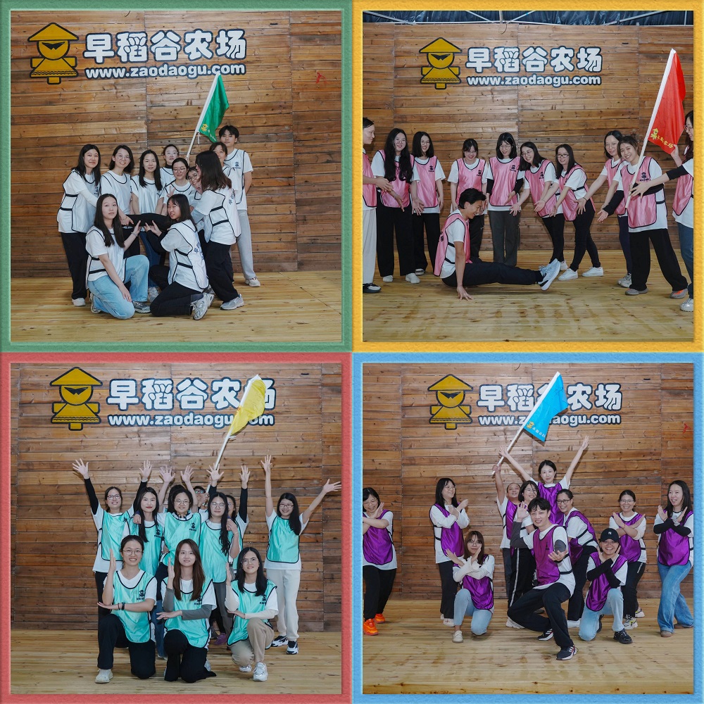 44-4 LEWIN·乐玩-(中国唯一)官方网站