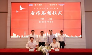 封面-8