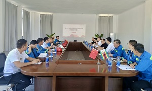 fm-13