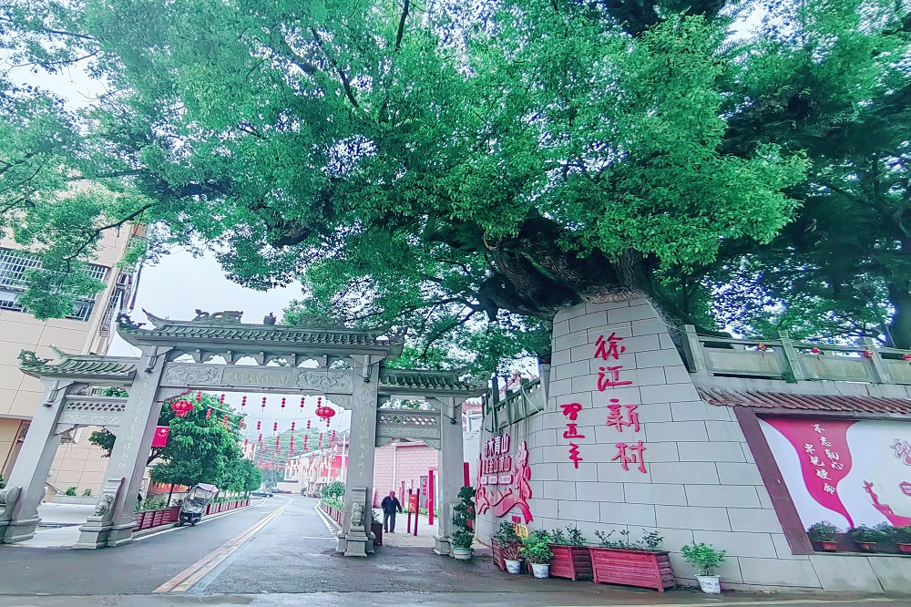 333-6 LEWIN·乐玩-(中国唯一)官方网站