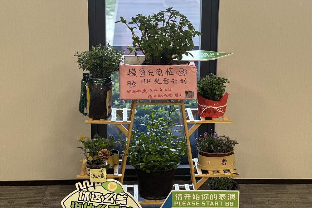 1818 LEWIN·乐玩-(中国唯一)官方网站
