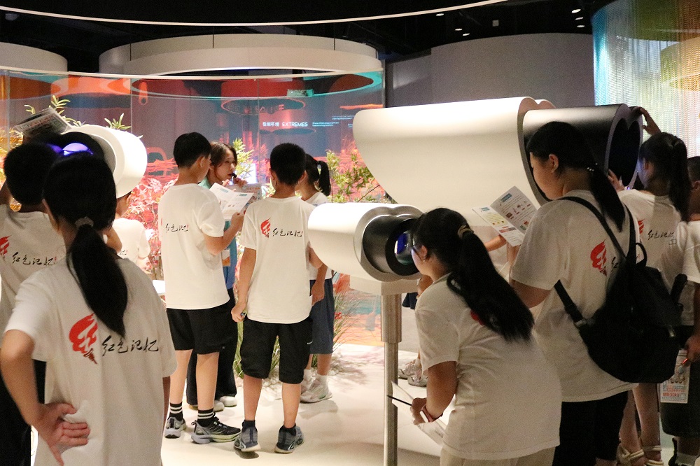 333-4 LEWIN·乐玩-(中国唯一)官方网站